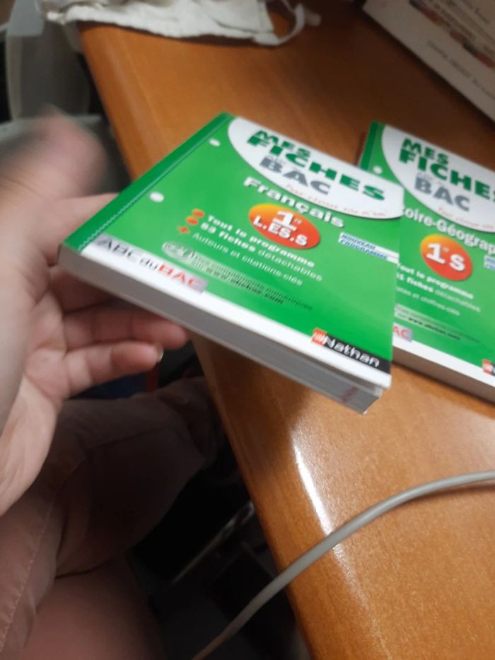 Fiche bac français - photo numéro 3