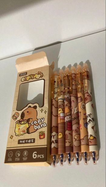 Stylos effaçables cute