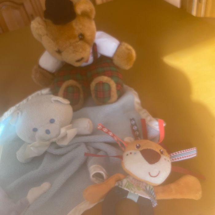 5 Doudous - photo numéro 3