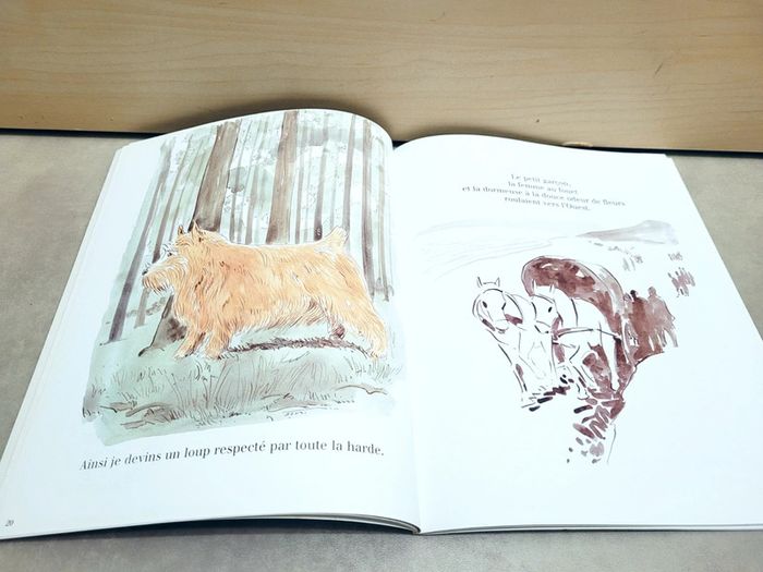 🌺 Livre (école des loisirs) : Le loup rouge - photo numéro 2