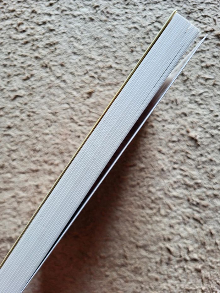 Livre Le retour de Jules de Didier Van Cauwelaert - photo numéro 3