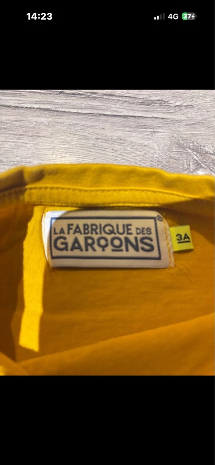 Lot tee shirt - photo numéro 2