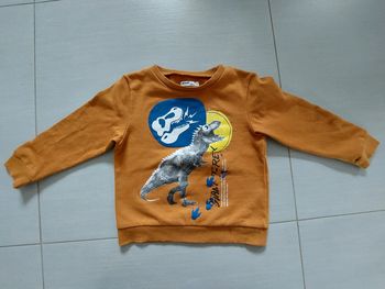 Pull dinosaure