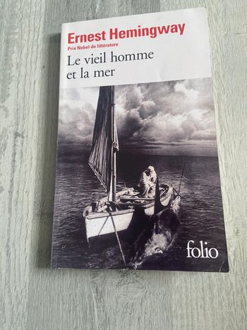 Livre le vieil homme et la mer