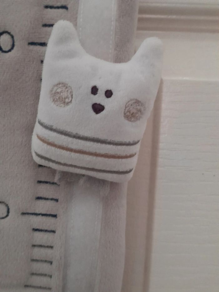 Toise - photo numéro 3