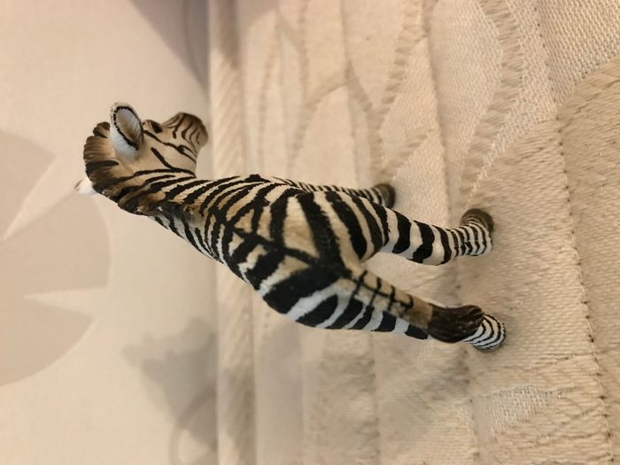 Figurine Animaux – Bébé Zèbre - photo numéro 5