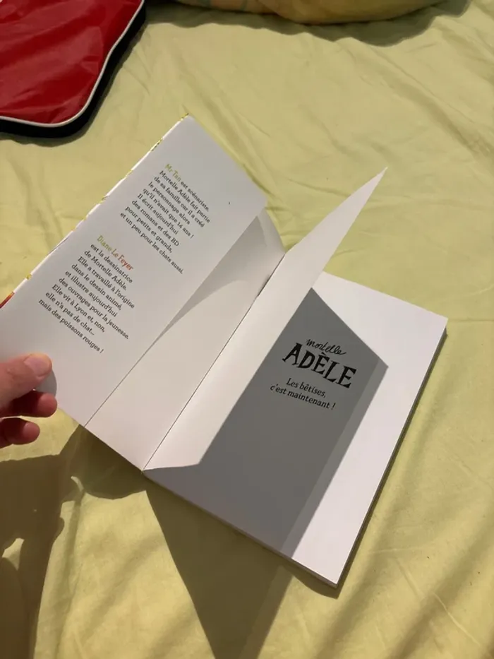 Mortelle adele les bêtises c’est maintenant - photo numéro 6