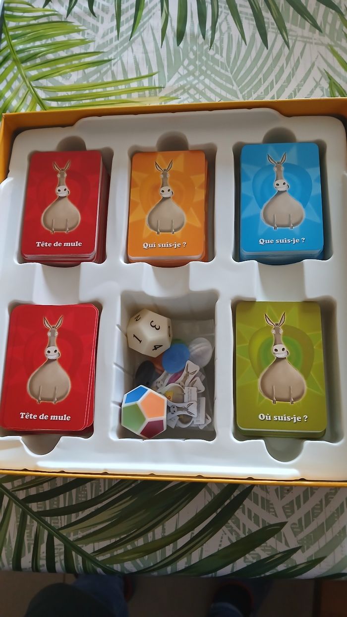 Monsieur je sais tout - photo numéro 4