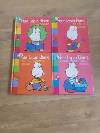 Livres Petit Lapin Blanc