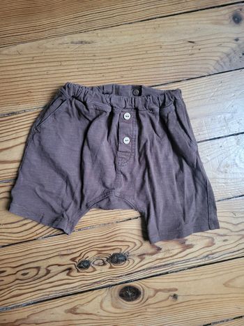 Short 18 mois