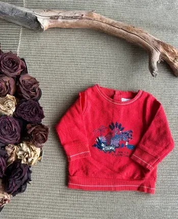 Pull taille 3 mois
