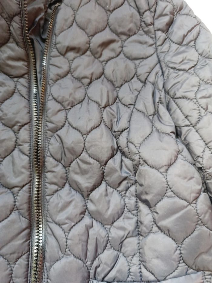 Veste - photo numéro 2