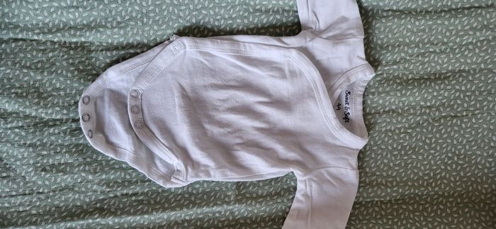 Lot bodies - photo numéro 4