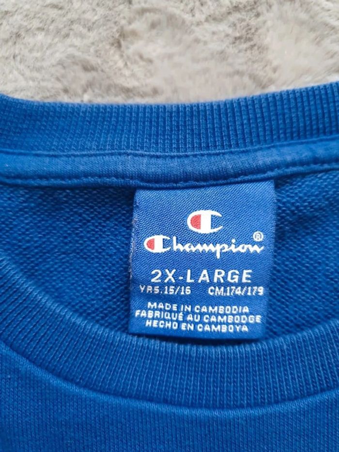 Sweat champion - photo numéro 3