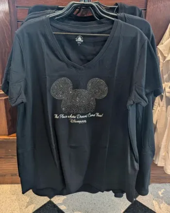 Tee shirt disneyland paris