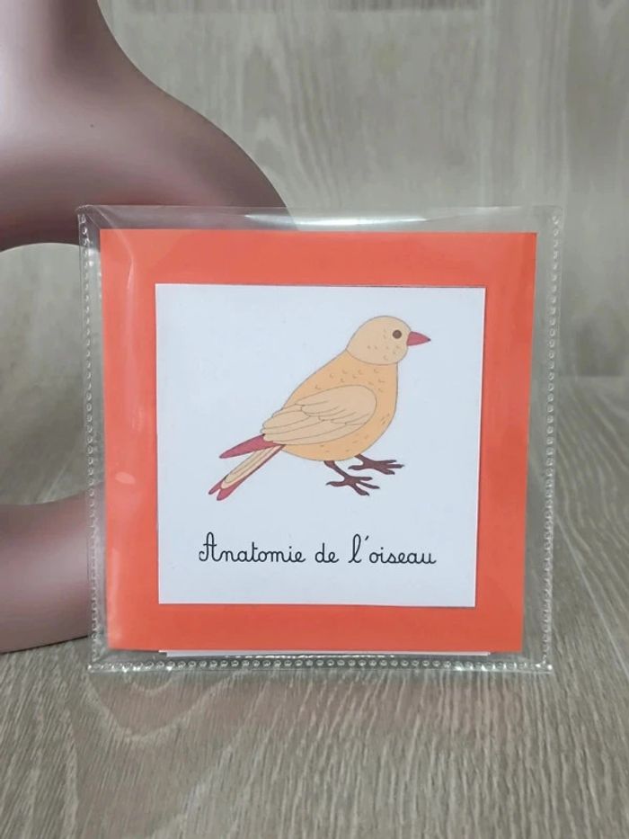 Cartes de nomenclature de l'oiseau - photo numéro 4