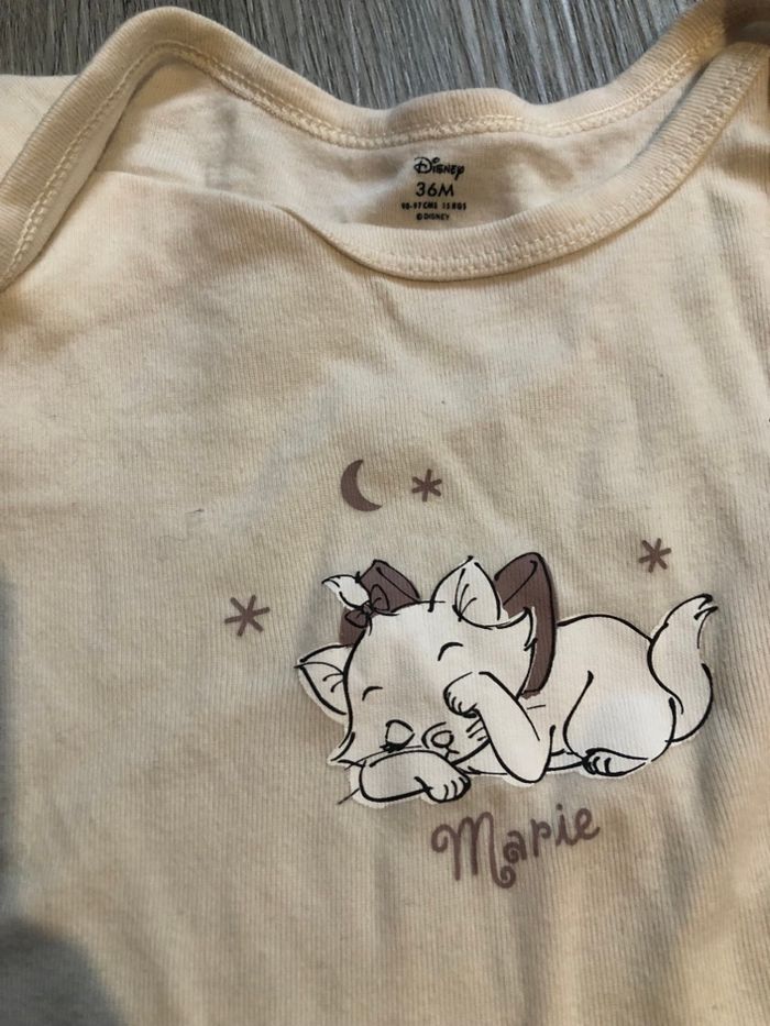 Lot bodys - photo numéro 6