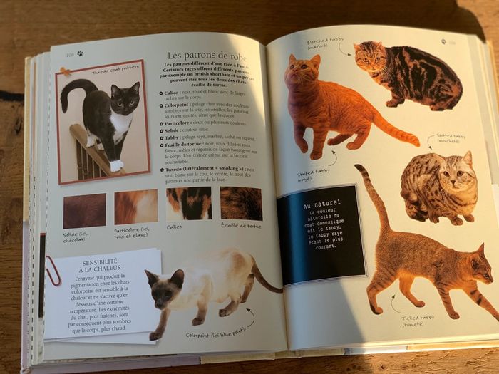Livre chats - photo numéro 4