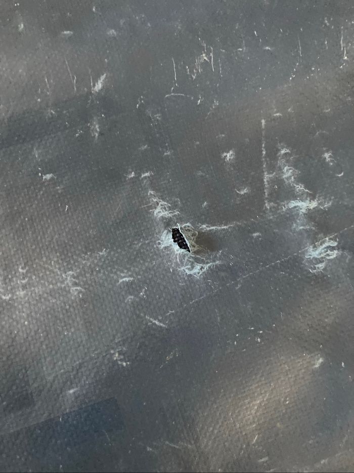 Porte de box - photo numéro 4