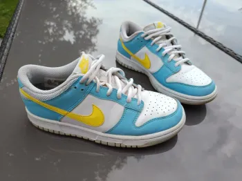 Basket Nike dunk low next nature 38