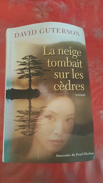 La neige tombait sur les cédres