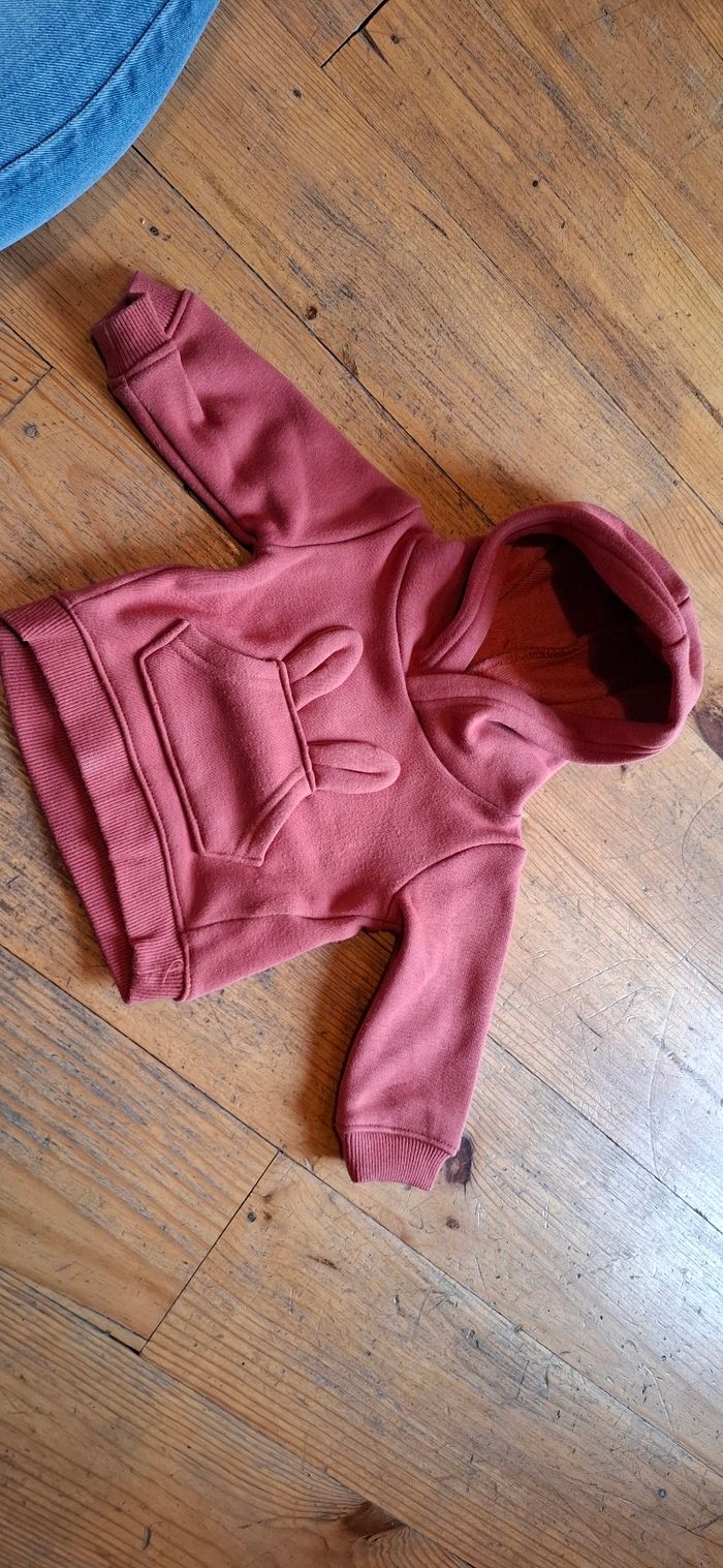 Sweat a capuche