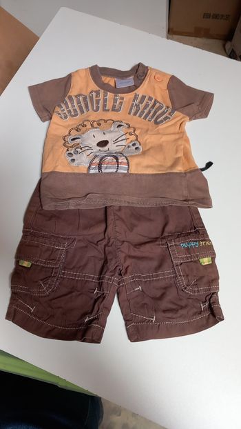 Ensemble tigre. 3 mois