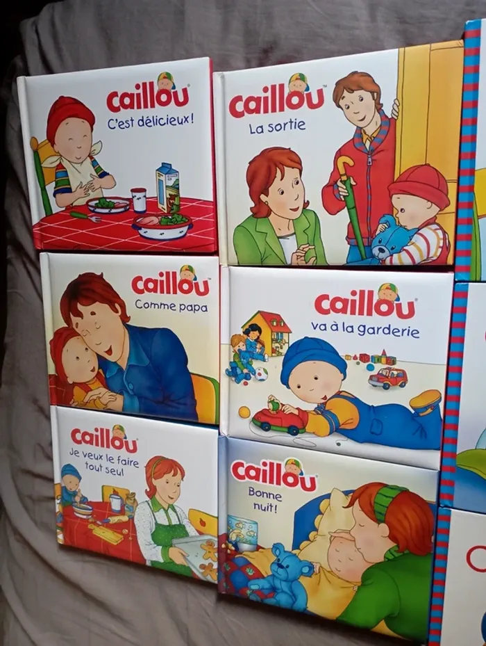 Lot de 17 livres caillou - photo numéro 2