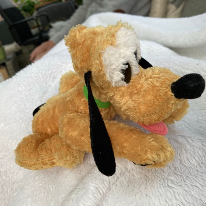 # pluto ## doudou# Disneyland ressort