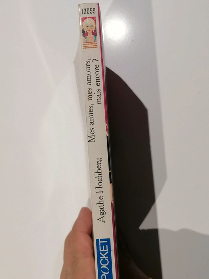 Livre pocket (mes amies, mes amours, mais encore ?) - photo numéro 2