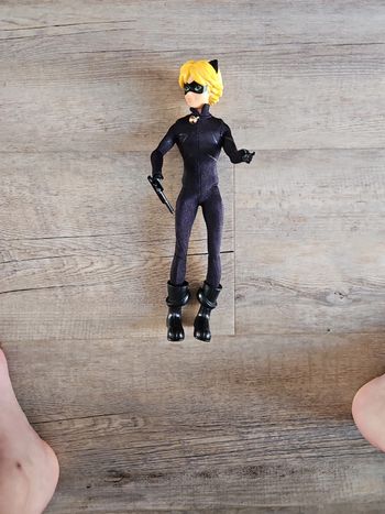 Chat noir
