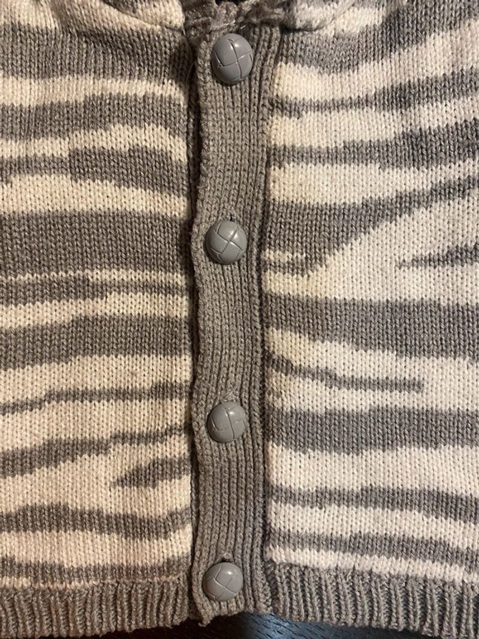 Gilet zébré - photo numéro 3