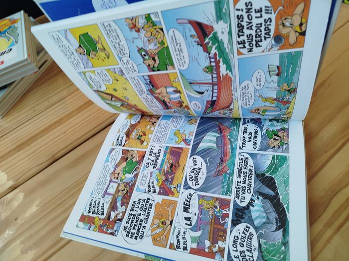 Album double Astérix - photo numéro 6