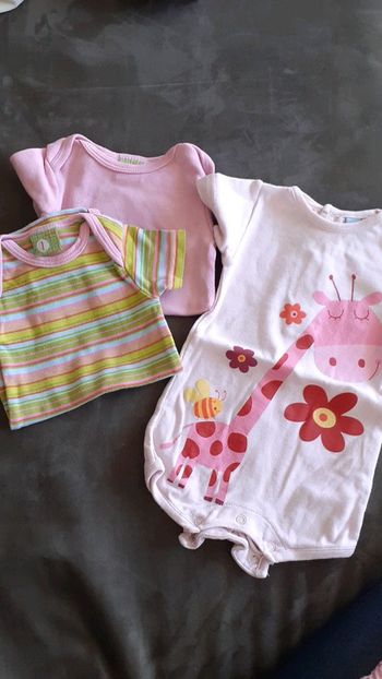 Lot 3 bodies manches courtes