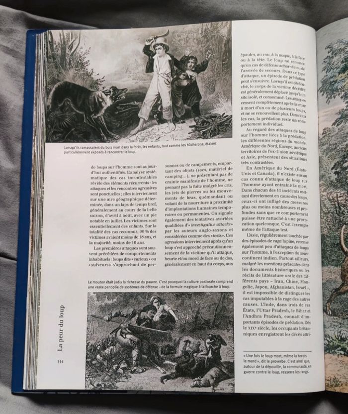 Les loups - Larousse - photo numéro 3