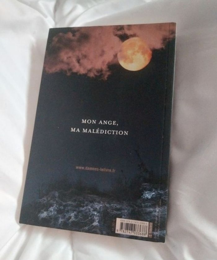 Roman Damnés tome 3 Passion Lauren Kate Bayard - photo numéro 5