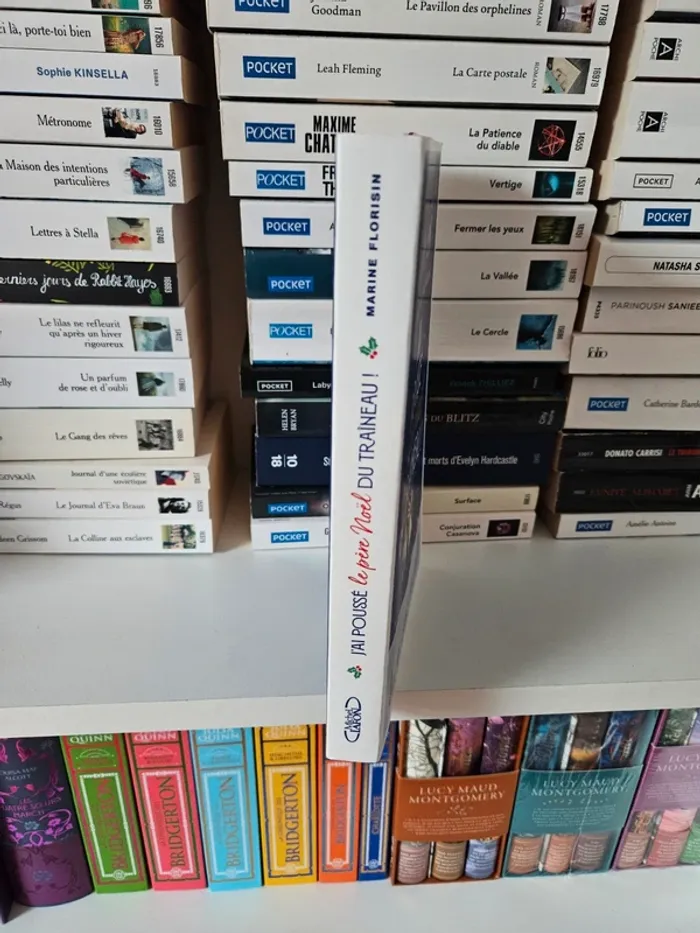 Livre gf j'ai poussé le père Noël du traîneau - photo numéro 4