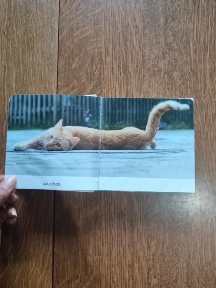 Livre mon Mini imagier des animaux - photo numéro 8