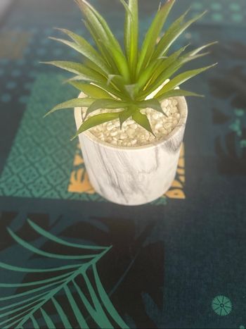 Plante artificielle