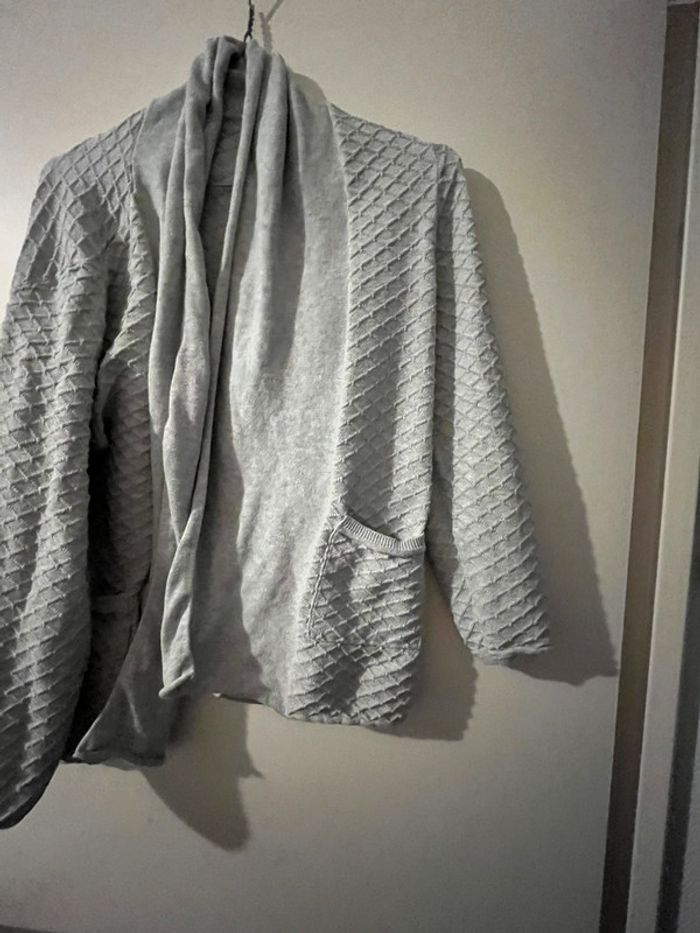 Gilet gris