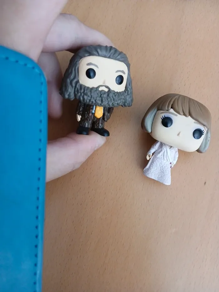 Hagrid et mme maxime mini pop - photo numéro 3