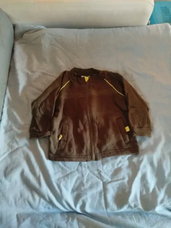 Veste