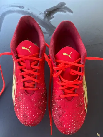 Crampons vissés
