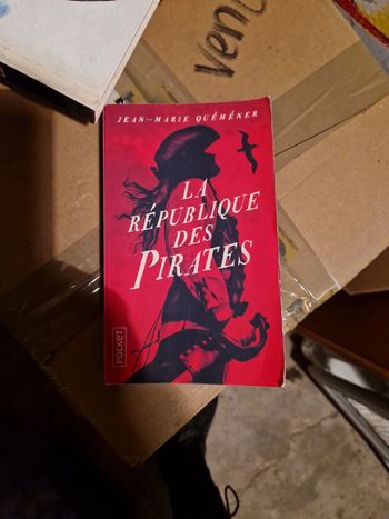 Livre la République des pirates