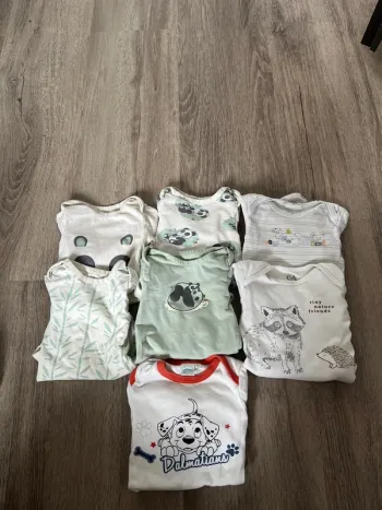Lot 7 bodies