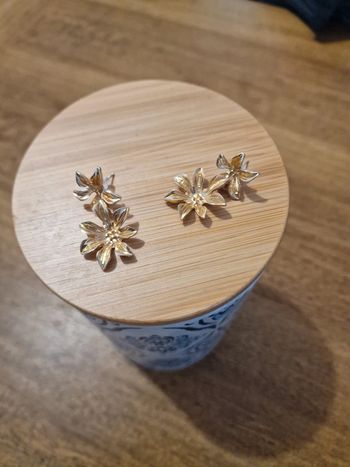 Magnifique boucles d'oreilles acier inoxydable