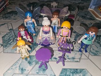 Playmobil lot de Fées et autres