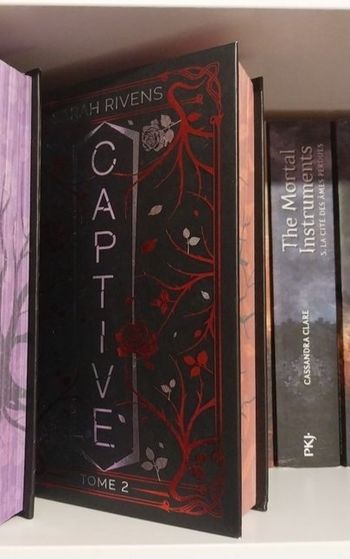 Roman Captive tome 2 Relié Collector jaspage BMR Sarah Rivens Asher Ella Dark Romance