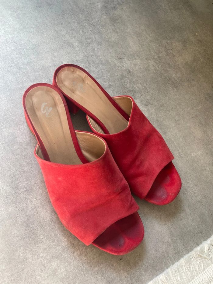 Mules - photo numéro 4
