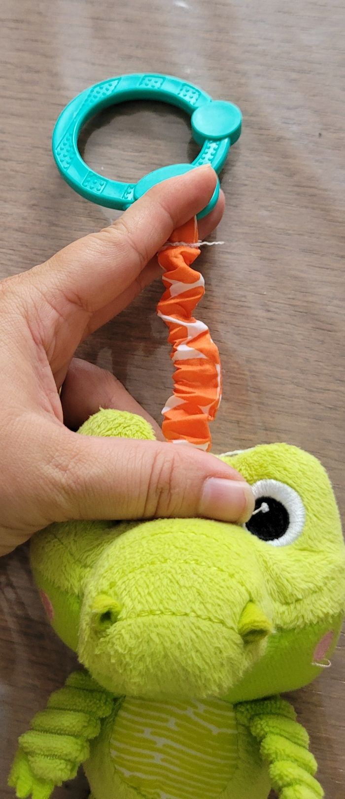 Crocodile d'éveil - photo numéro 2